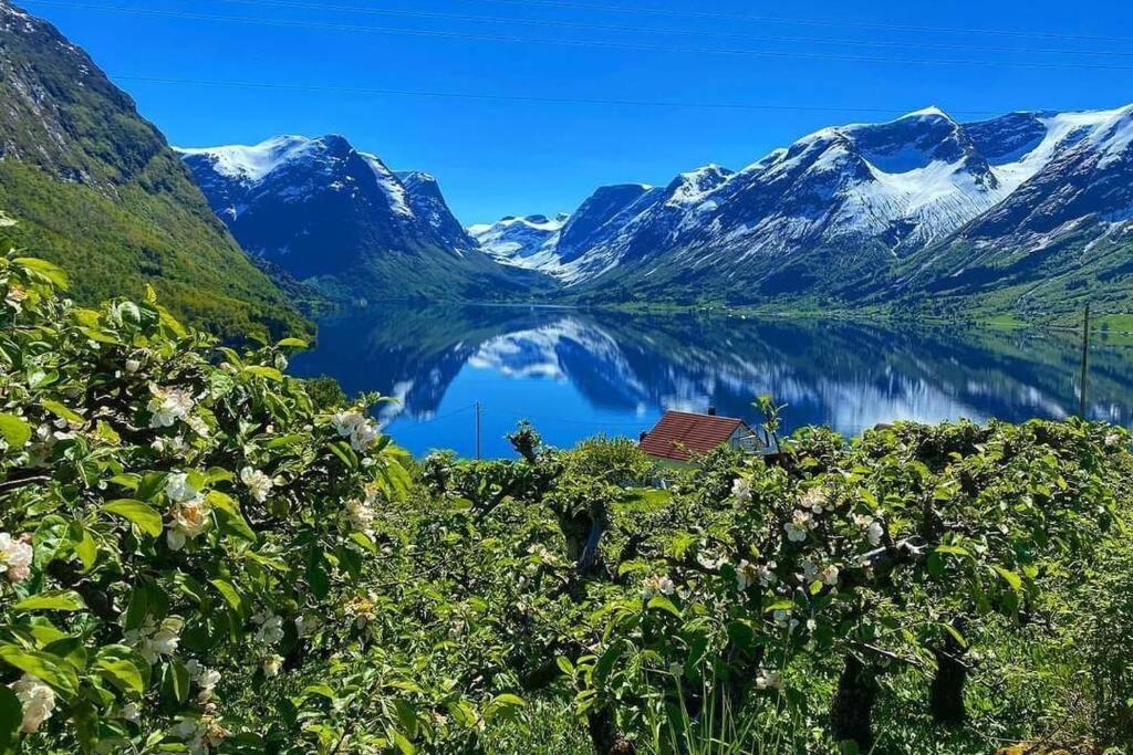 Villa Flohytta Stryn Exterior foto